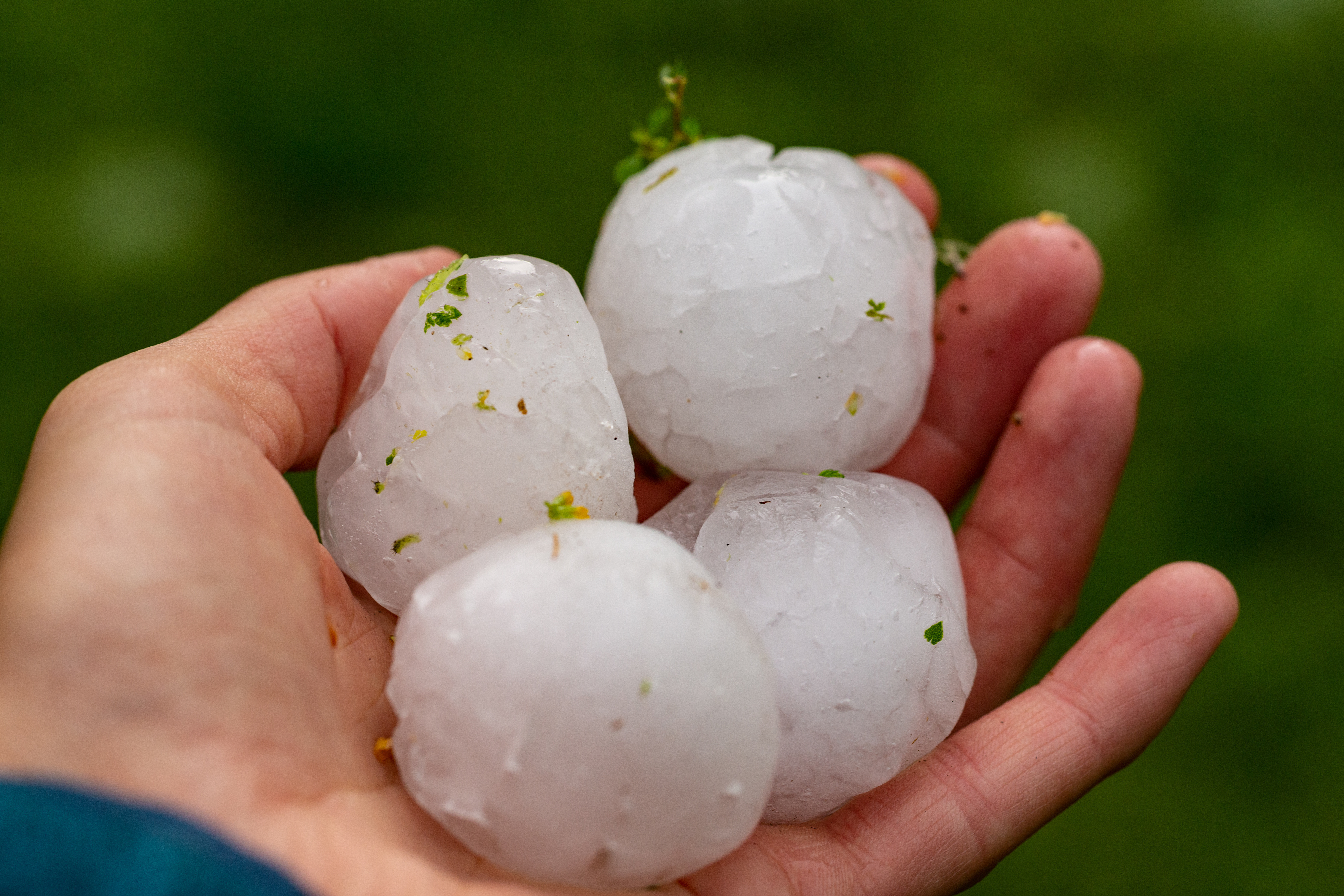 Hail damage