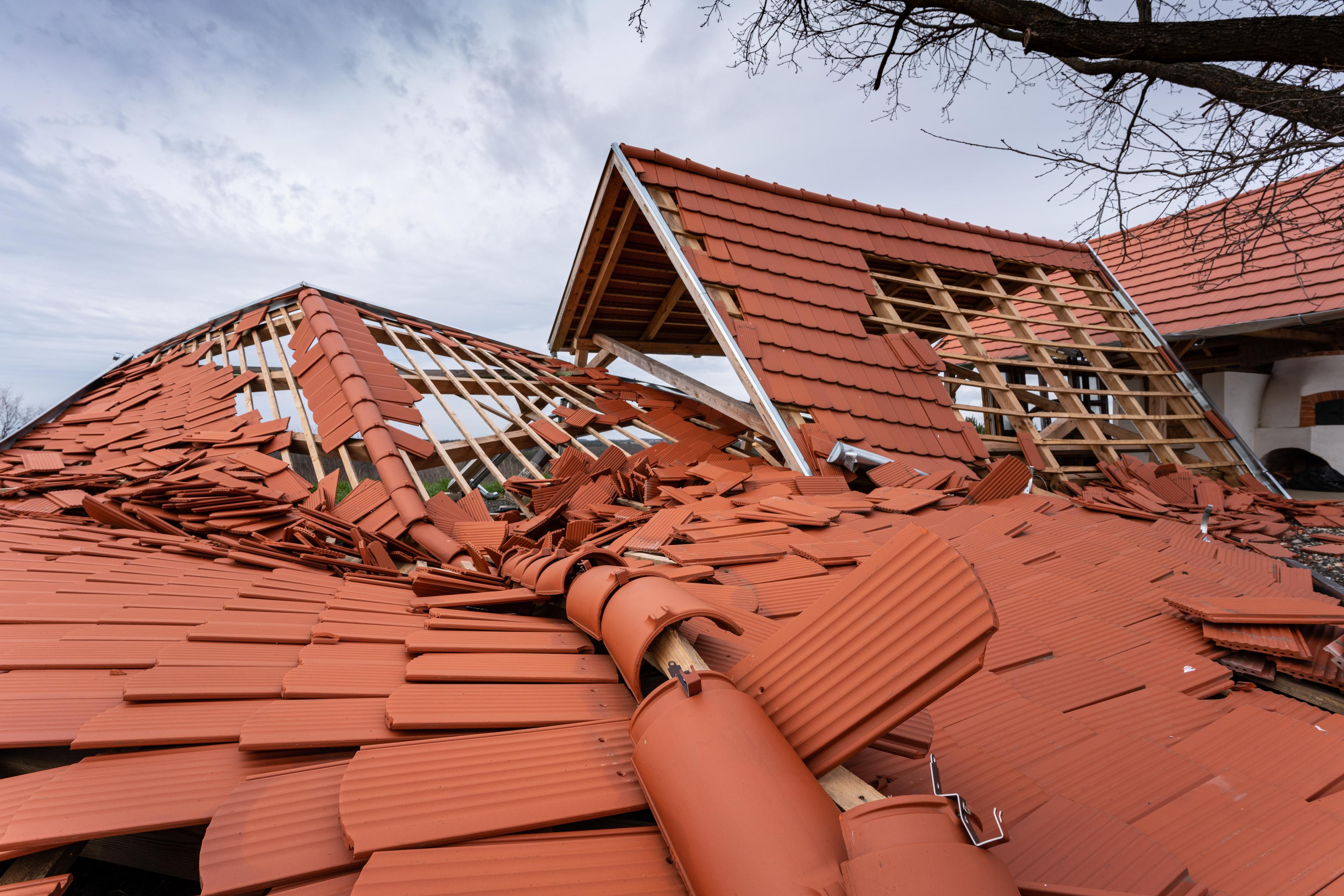 Roof & Wind Damage